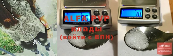 молекула духа Богородск
