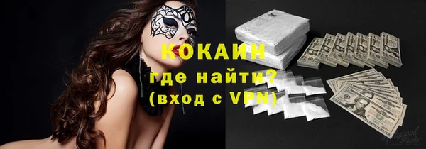 бошки Алексин
