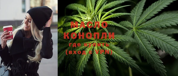 шишки Богородицк