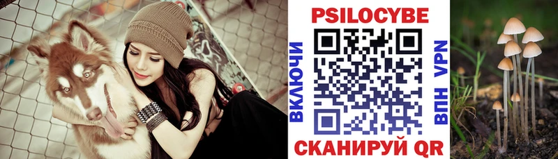 Псилоцибиновые грибы Psilocybe  купить наркотики сайты  Шелехов 